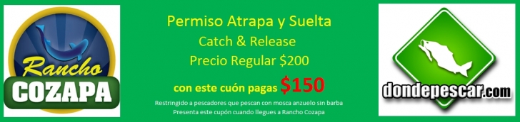 cupon C&R Cozapa.jpg